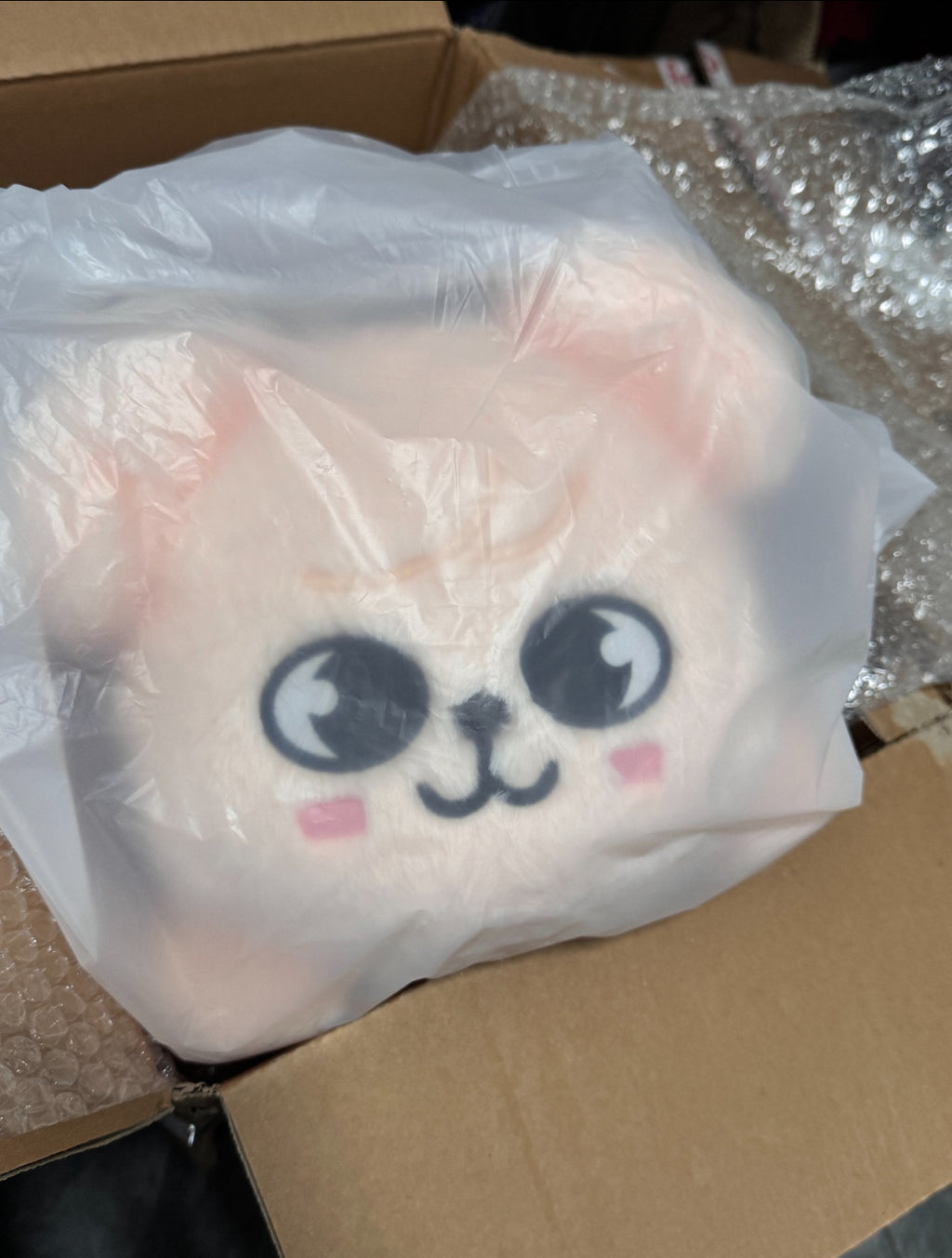 StrayKids SKZ Seungmin Design PuppyM PLUSH LYING Ver. [dominATE : celebrATE POP-UP STORE OFFICIAL MD]