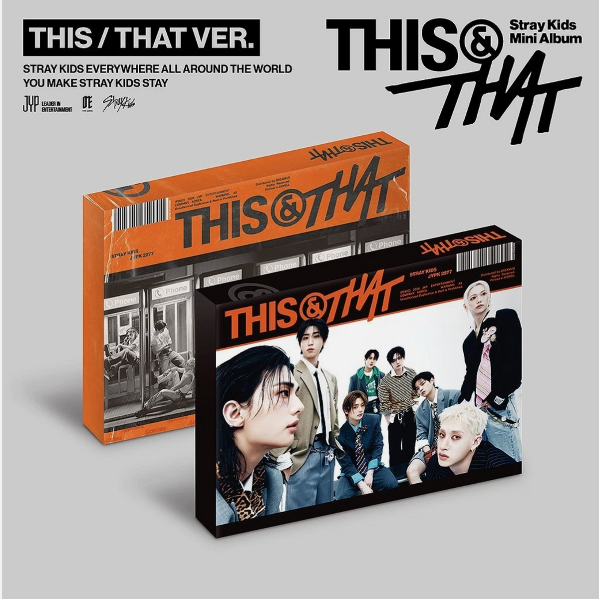 STRAY KIDS THIS & THAT Mini Album