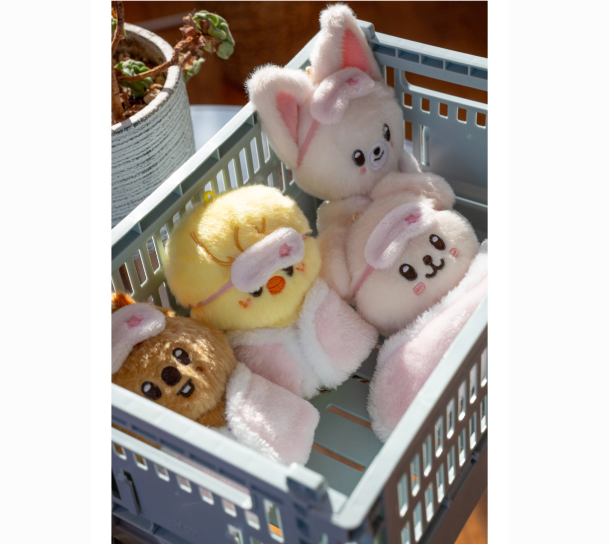 Stray Kids - [STAY in Our Little House] 6TH FANMEETING MD SKZOO PLUSH 10CM Ver.