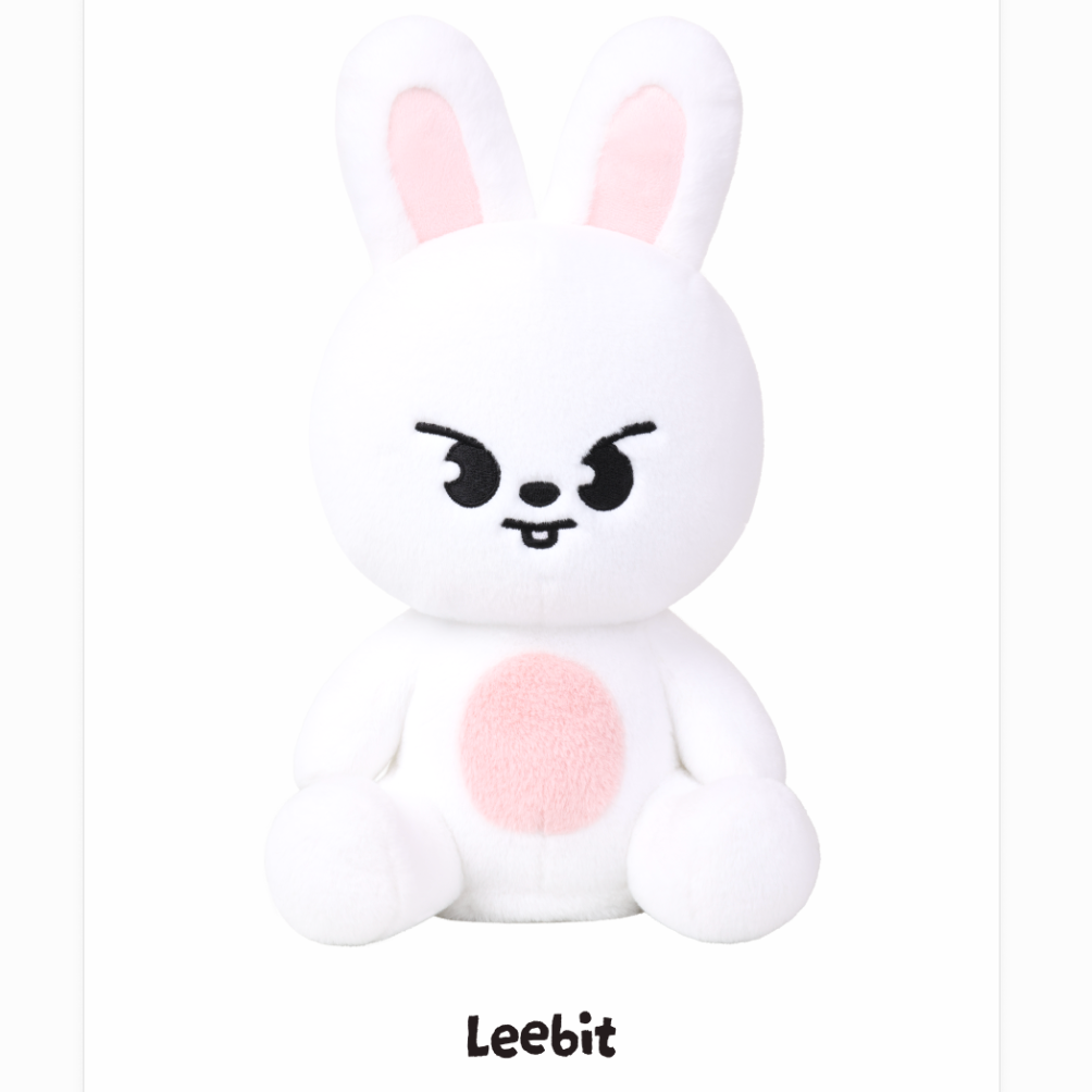(PRE-ORDER) Stray Kids - [RUN IT] World Tour MD SKZOO PLUSH DANCING Ver.