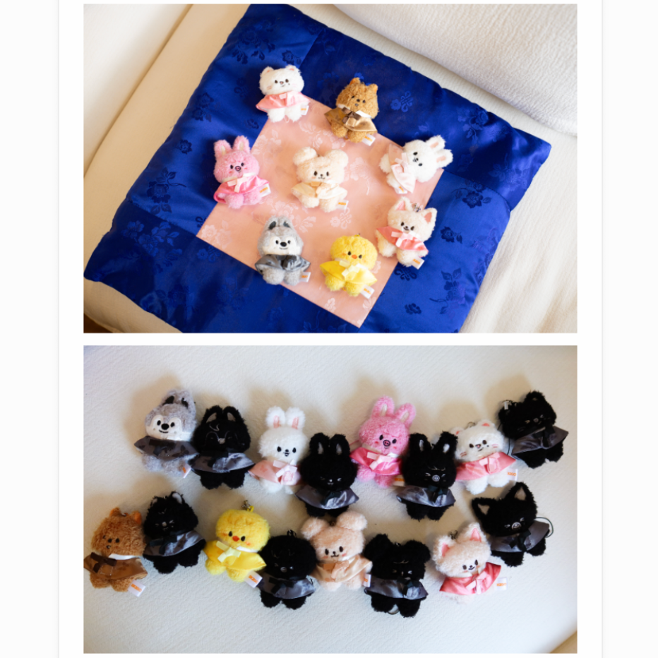 (PRE-ORDER) Stray Kids - [RUN IT] World Tour MD SKZOO SECRET PLUSH MICRO Ver.