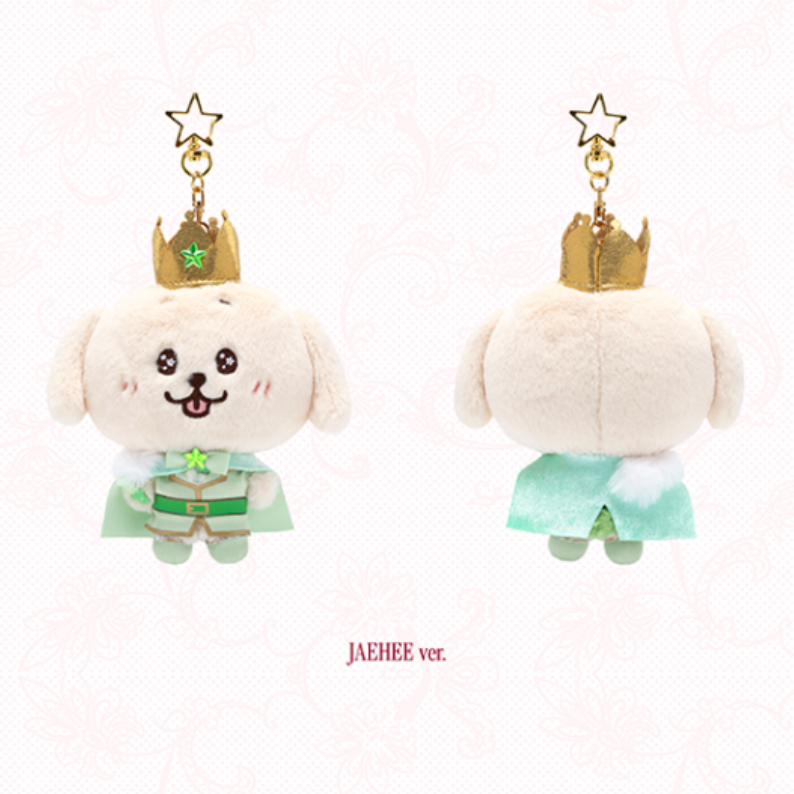 NCT WISH - Prince Wish Doll Voice Plush [2nd Anniversary Fanmeeting 'Help! All Six Princes Are Trying to Propose to Me' Official MD]