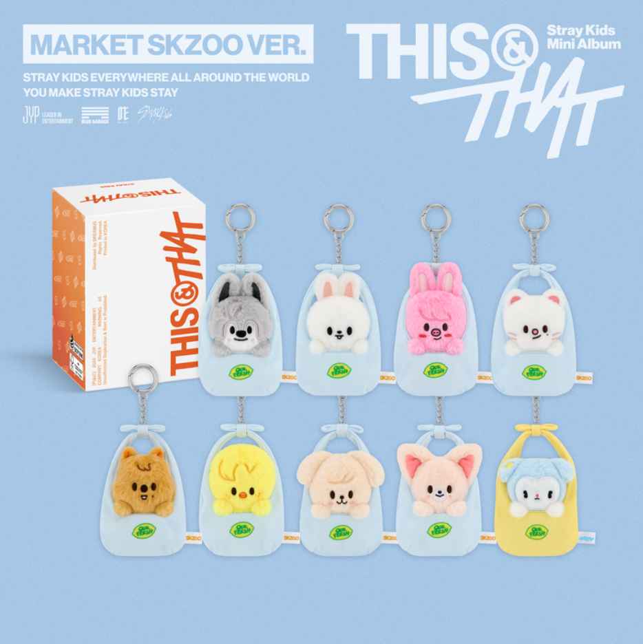 Stray Kids 'This & That' mini album market skzoo ver. collectible keychains displayed alongside their retail box on a light blue background with promotional text.